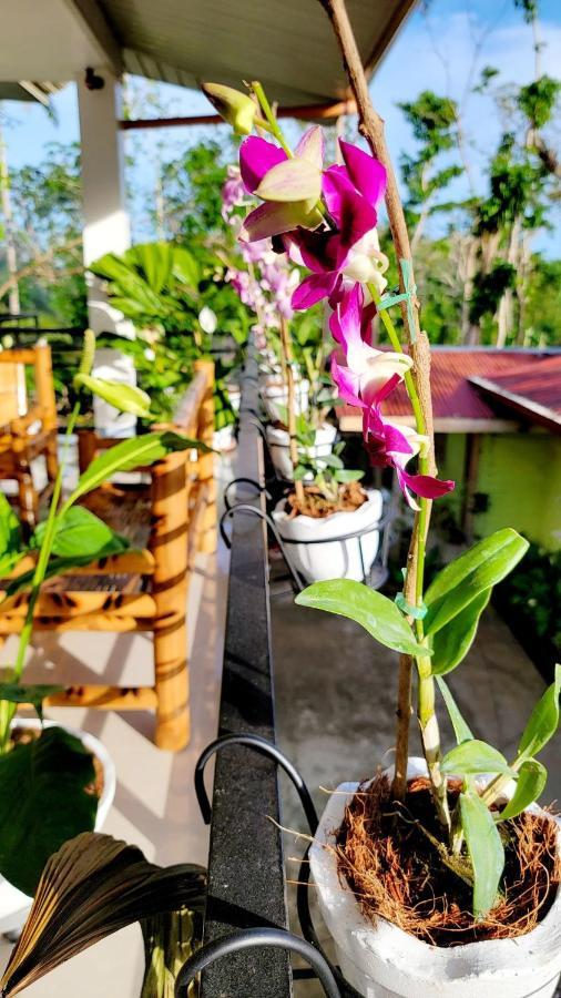 Matilde B&B - La Paz, Carmen 카르멘 외부 사진